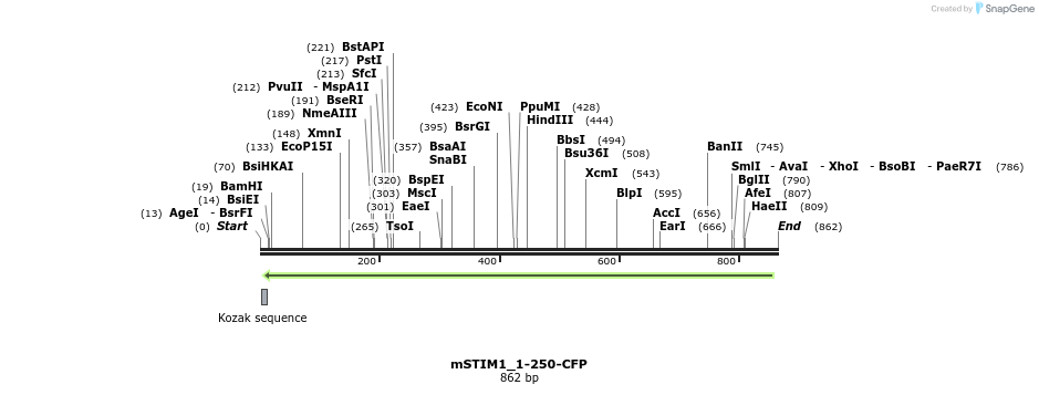 128198_map