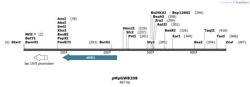 128237_map