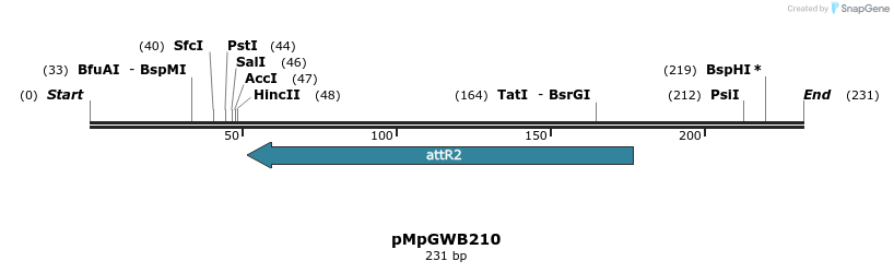 128248_map