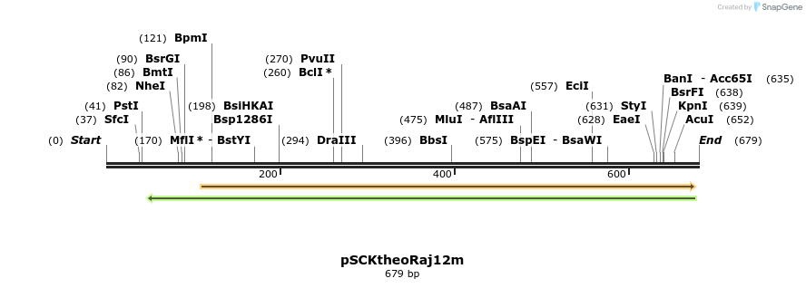 128250_map