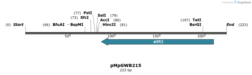 128251_map
