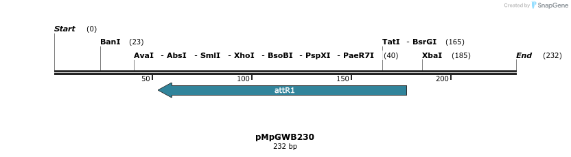 128259_map