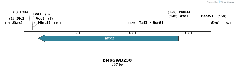 128260_map