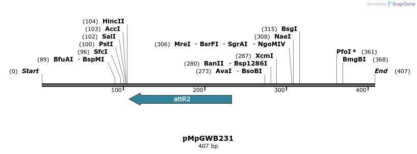 128262_map