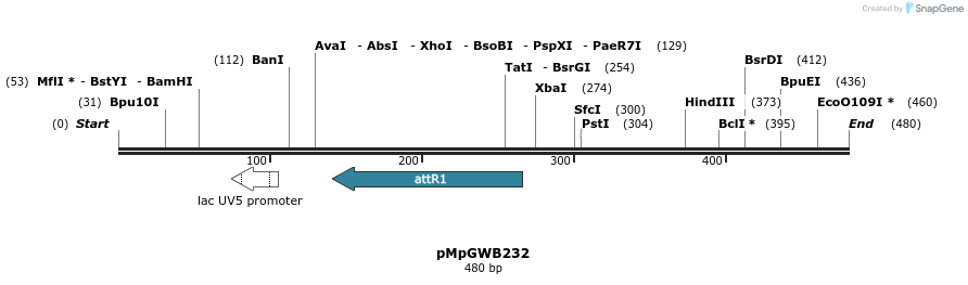 128263_map