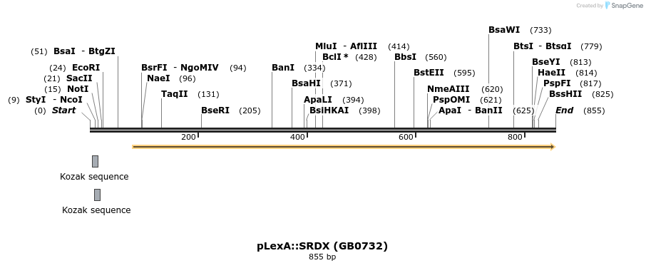 128268_map