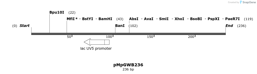 128277_map