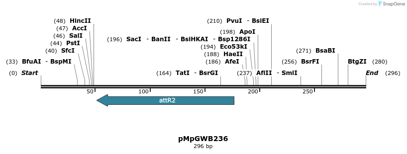 128278_map