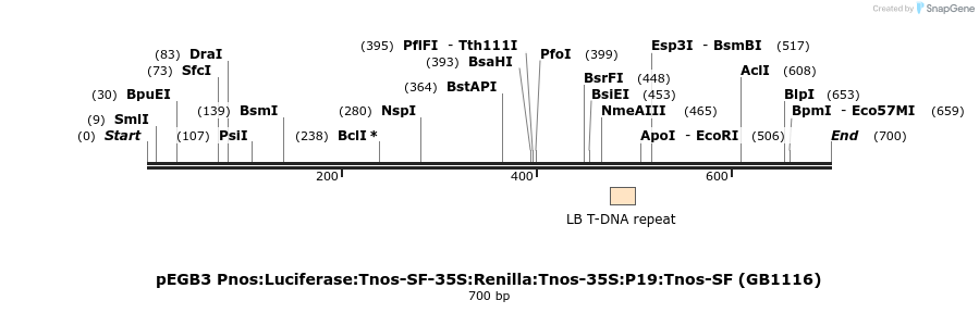 128294_map