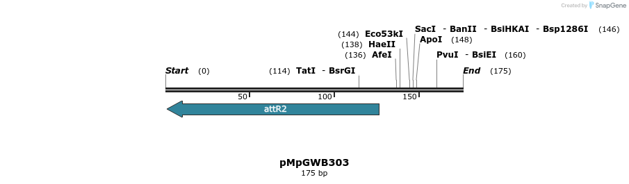 128299_map