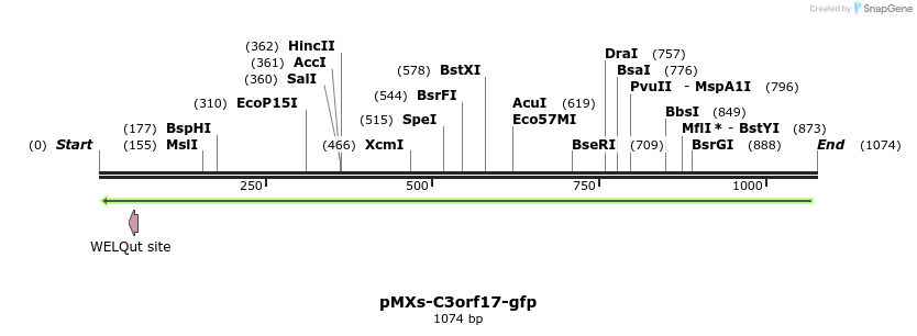 128301_map