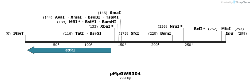 128302_map