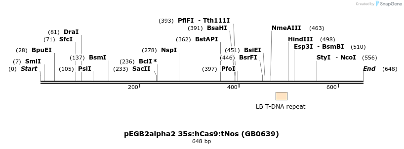 128303_map