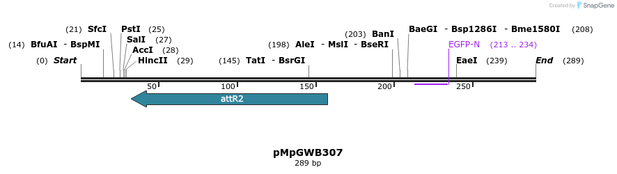 128304_map