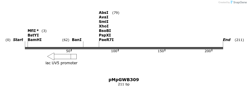 128308_map