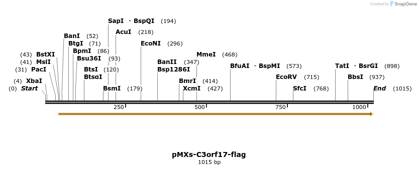128311_map