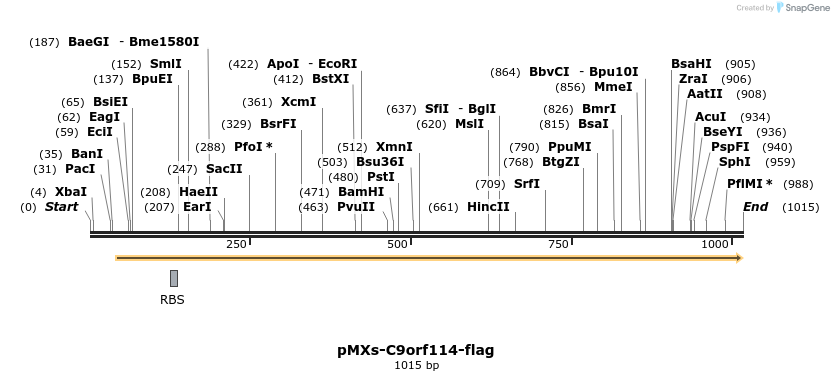 128312_map