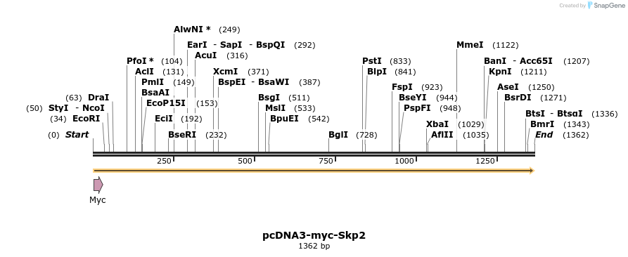 128314_map