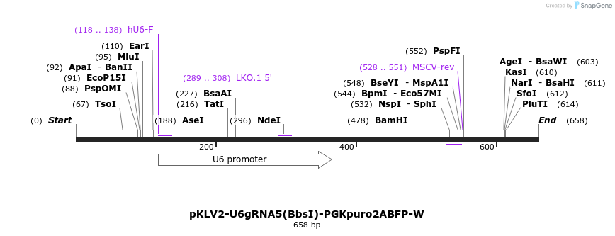 128317_map
