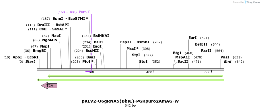 128318_map