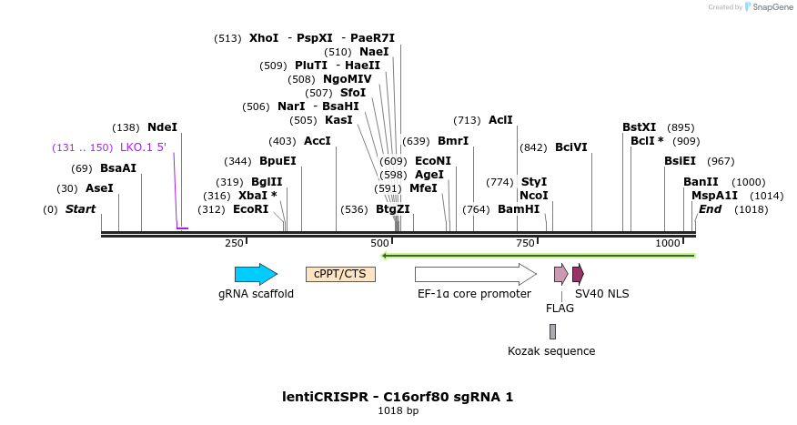 128324_map