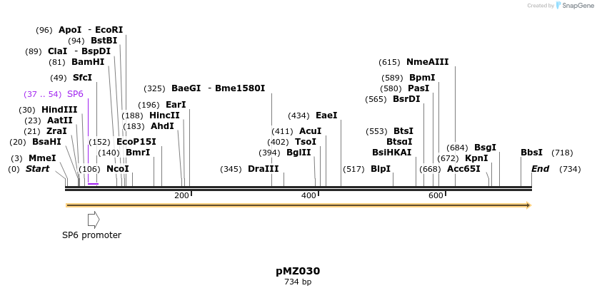 128328_map