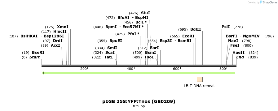 128351_map