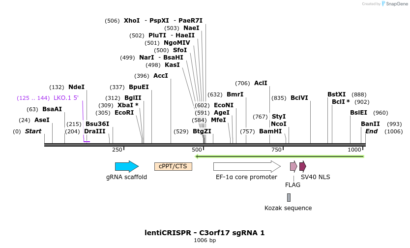 128352_map