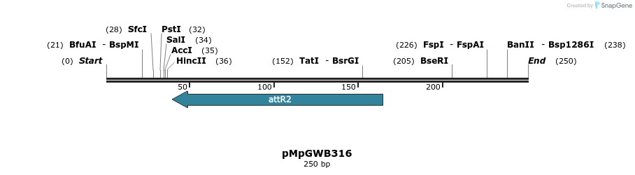128361_map