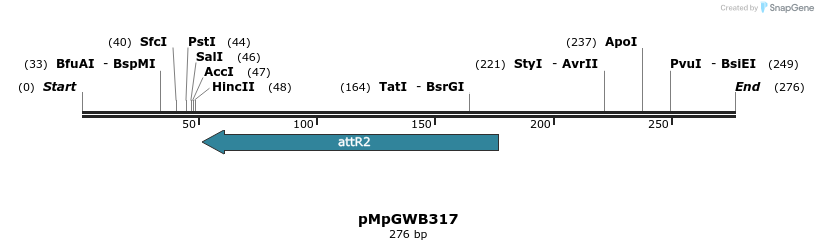 128362_map