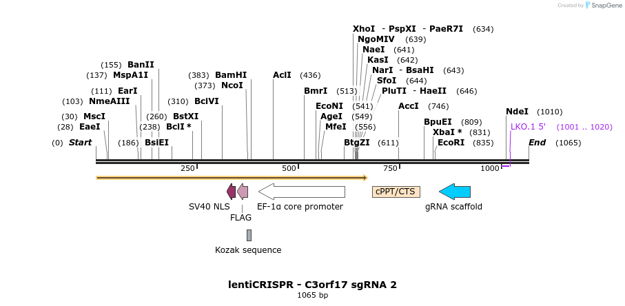 128364_map