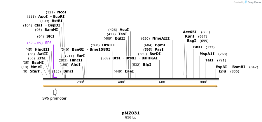 128370_map