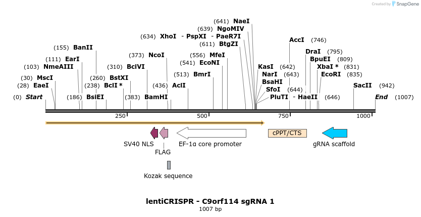128374_map