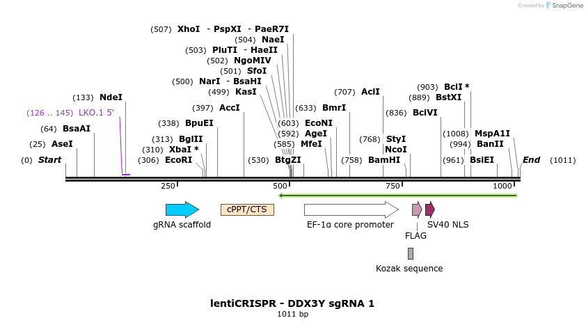 128377_map