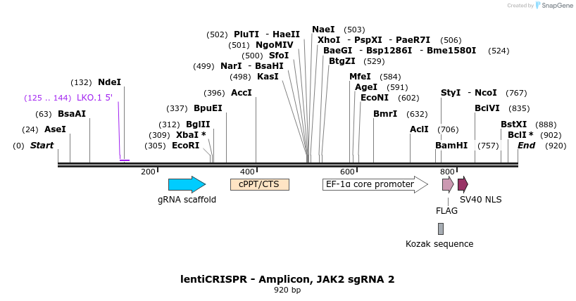 128391_map