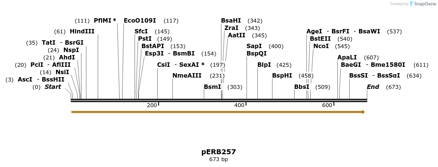 128394_map