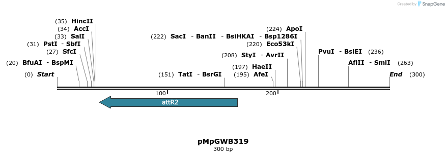 128397_map