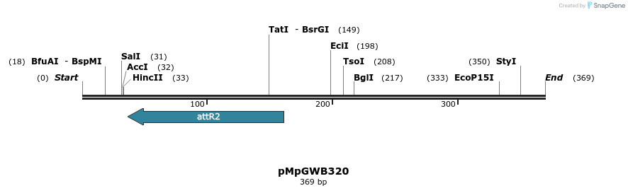 128402_map