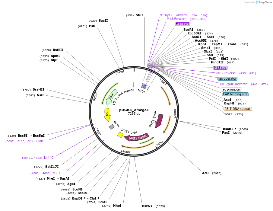 128404_map