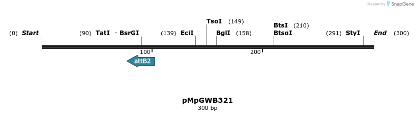 128406_map
