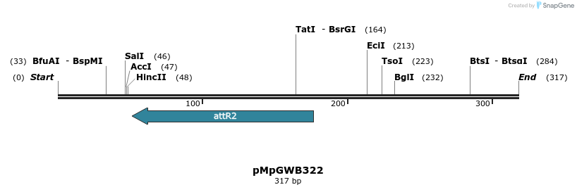 128409_map