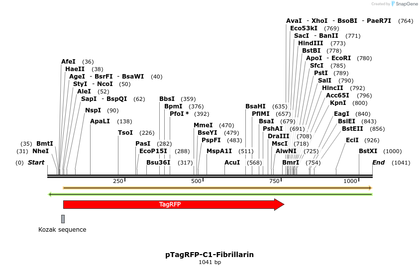128410_map