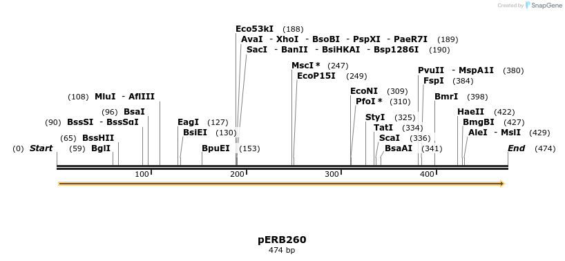 128411_map