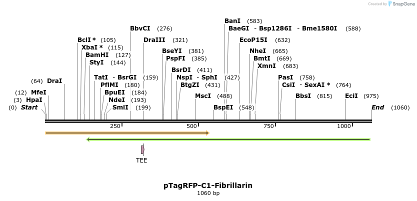 128413_map