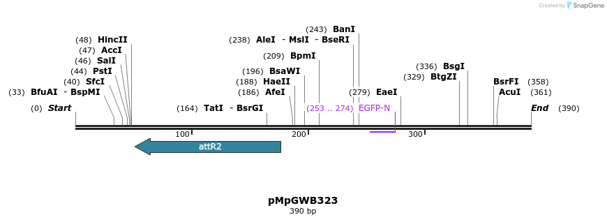128414_map
