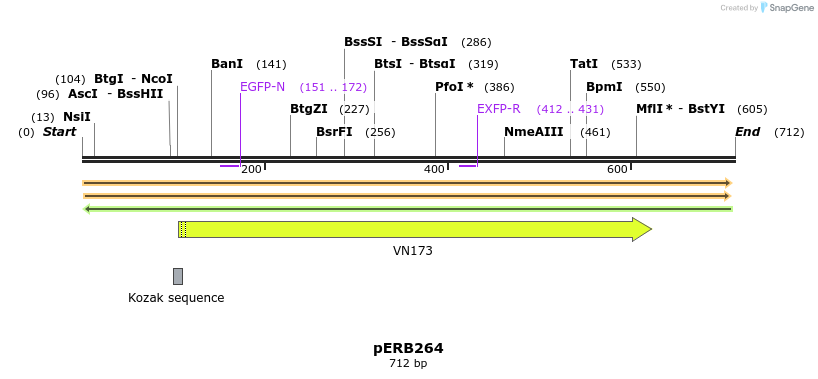 128416_map