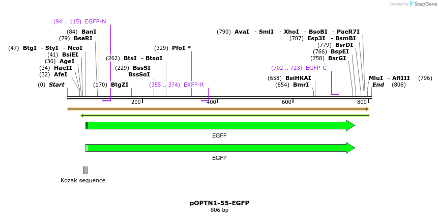 128419_map