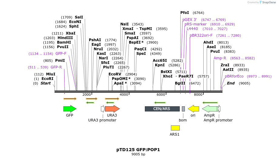 128421_map