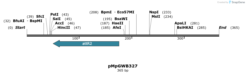 128423_map