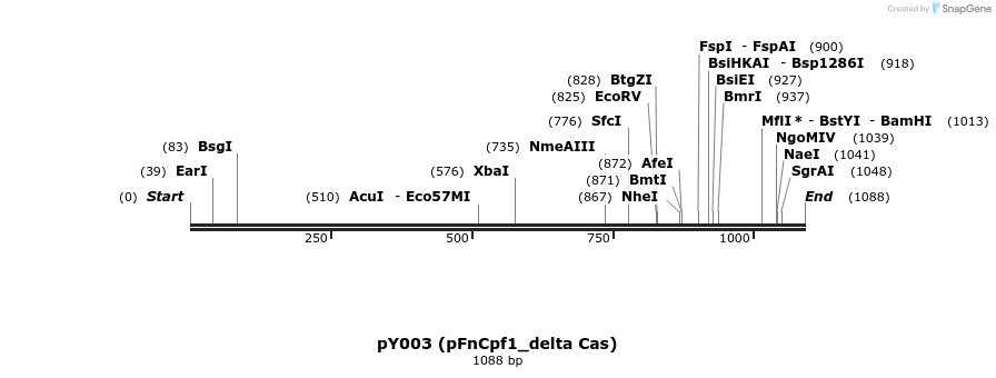 128425_map